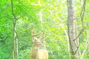 W902 Co Rd A, Burns, WI 54644 - Photo 51