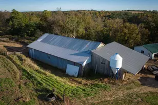 17161 Co Hwy F, Sheldon, WI 54648 - Photo 31