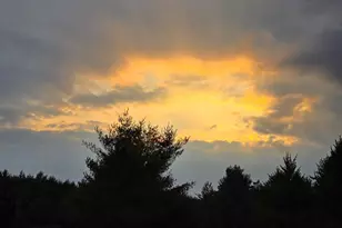 N2743 County Rd O, Knapp, WI 54666 - Photo 59