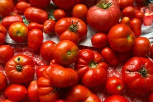 25812 91st St, Salem Lakes, WI 53168 - Photo 49