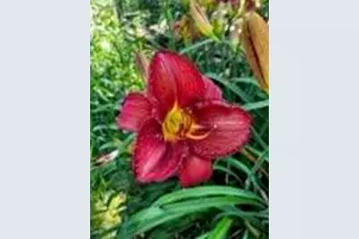 N6061  Summerglow Trl, Onalaska, WI 54650 - Photo 37