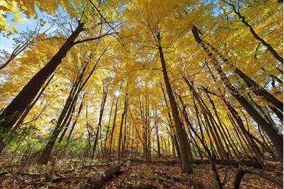 W204N9269  Lannon Rd, Menomonee Falls, WI 53051 - Photo 65