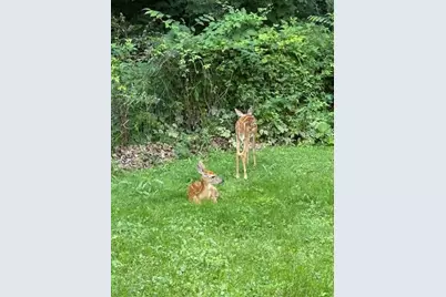 W204N9269  Lannon Rd, Menomonee Falls, WI 53051 - Photo 69