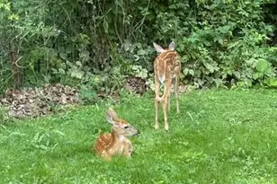 W204N9269 Lannon Rd, Menomonee Falls, WI 53051 - Photo 69