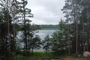 4533 Warner Dr, Newbold, WI 54501 - Photo 51