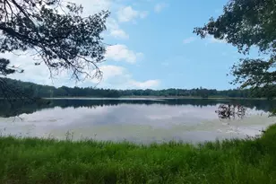 4533 Warner Dr, Newbold, WI 54501 - Photo 7