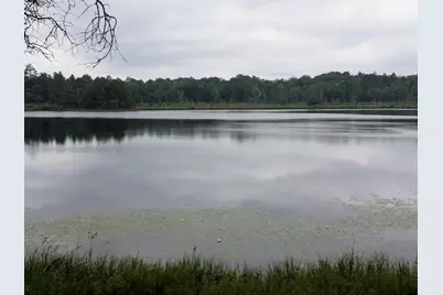 4533  Warner Dr, Newbold, WI 54501 - Photo 39