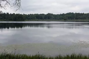 4533 Warner Dr, Newbold, WI 54501 - Photo 39