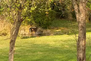 N8538 River Rd, Watertown, WI 53094 - Photo 43