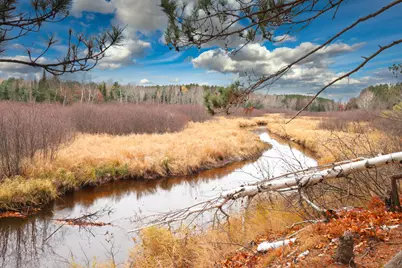 541  Bloom Rd, Lincoln, WI 54521 - Photo 23