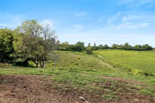 W10864 Santas Loop Rd, Wonewoc, WI 53968 - Photo 23