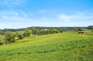 W10864 Santas Loop Rd, Wonewoc, WI 53968 - Photo 3