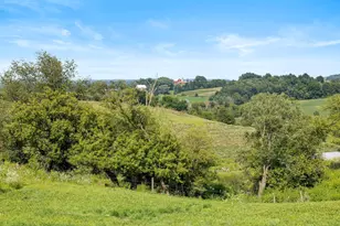 W10864 Santas Loop Rd, Wonewoc, WI 53968 - Photo 25