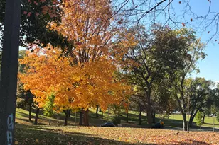 2771 S Quincy Ave, Milwaukee, WI 53207 - Photo 3