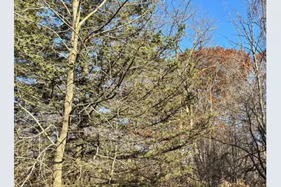 Lt1  County Highway Cc -, Polk, WI 53086 - Photo 5