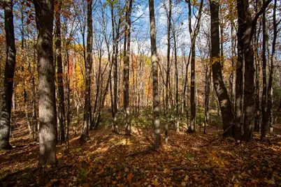 E516  Rustad Rd, Harrison, WI 54945 - Photo 13