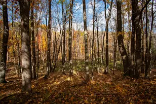 E516 Rustad Rd, Harrison, WI 54945 - Photo 13