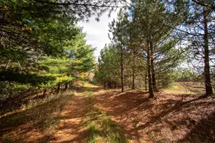 E516 Rustad Rd, Harrison, WI 54945 - Photo 11