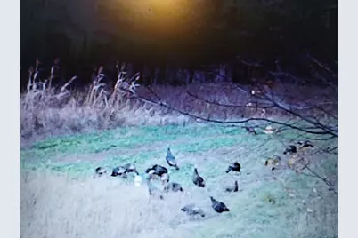 25005  Norhardt Ave, Wellington, WI 54651 - Photo 39