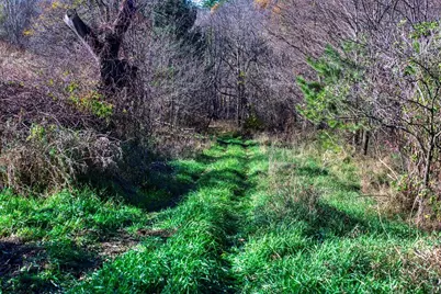 25005  Norhardt Ave, Wellington, WI 54651 - Photo 33