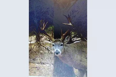 25005  Norhardt Ave, Wellington, WI 54651 - Photo 25