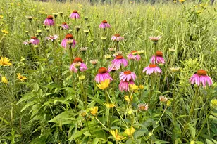 25024 Norhardt Ave, Wellington, WI 54651 - Photo 7