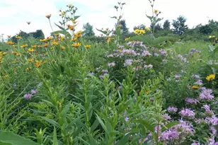 25024 Norhardt Ave, Wellington, WI 54651 - Photo 131