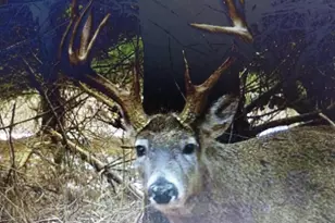 25024 Norhardt Ave, Wellington, WI 54651 - Photo 113