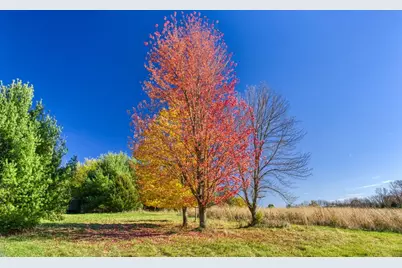 25024  Norhardt Ave, Wellington, WI 54651 - Photo 37