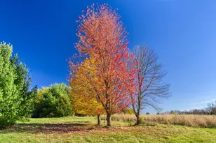 25024 Norhardt Ave, Wellington, WI 54651 - Photo 37