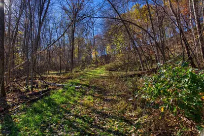 25024  Norhardt Ave, Wellington, WI 54651 - Photo 53