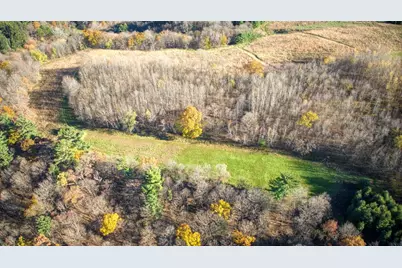 25024  Norhardt Ave, Wellington, WI 54651 - Photo 99