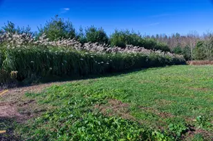 25024 Norhardt Ave, Wellington, WI 54651 - Photo 41