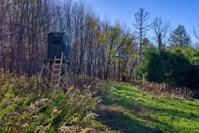 25024  Norhardt Ave, Wellington, WI 54651 - Photo 57