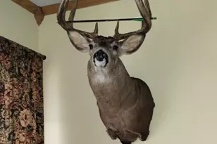 25024 Norhardt Ave, Wellington, WI 54651 - Photo 9