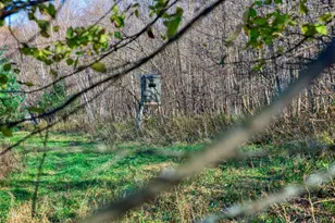 25024 Norhardt Ave, Wellington, WI 54651 - Photo 61