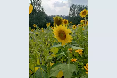 25024  Norhardt Ave, Wellington, WI 54651 - Photo 135