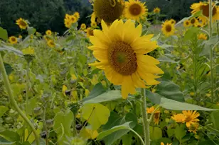 25024 Norhardt Ave, Wellington, WI 54651 - Photo 135