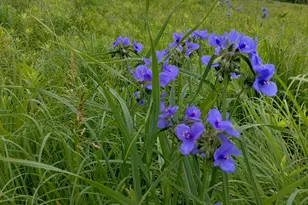 25024 Norhardt Ave, Wellington, WI 54651 - Photo 137