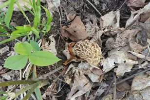 25024 Norhardt Ave, Wellington, WI 54651 - Photo 9