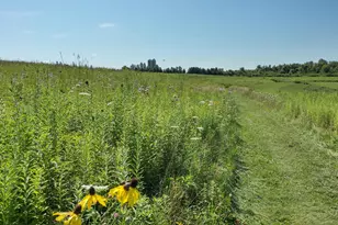 25024 Norhardt Ave, Wellington, WI 54651 - Photo 139