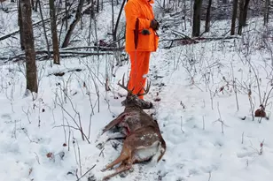 25024 Norhardt Ave, Wellington, WI 54651 - Photo 111