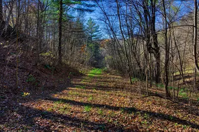 25024  Norhardt Ave, Wellington, WI 54651 - Photo 45