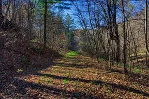 25024 Norhardt Ave, Wellington, WI 54651 - Photo 45