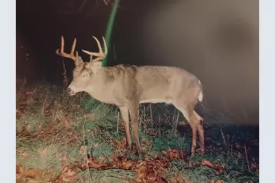 25024  Norhardt Ave, Wellington, WI 54651 - Photo 115