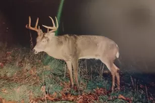 25024 Norhardt Ave, Wellington, WI 54651 - Photo 115