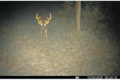 25024  Norhardt Ave, Wellington, WI 54651 - Photo 123