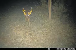 25024 Norhardt Ave, Wellington, WI 54651 - Photo 123