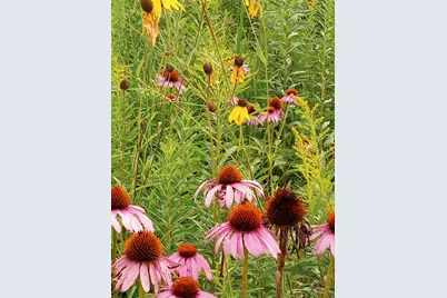 25024  Norhardt Ave, Wellington, WI 54651 - Photo 129