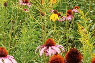 25024 Norhardt Ave, Wellington, WI 54651 - Photo 129